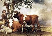 paulus potter The bull. oil painting